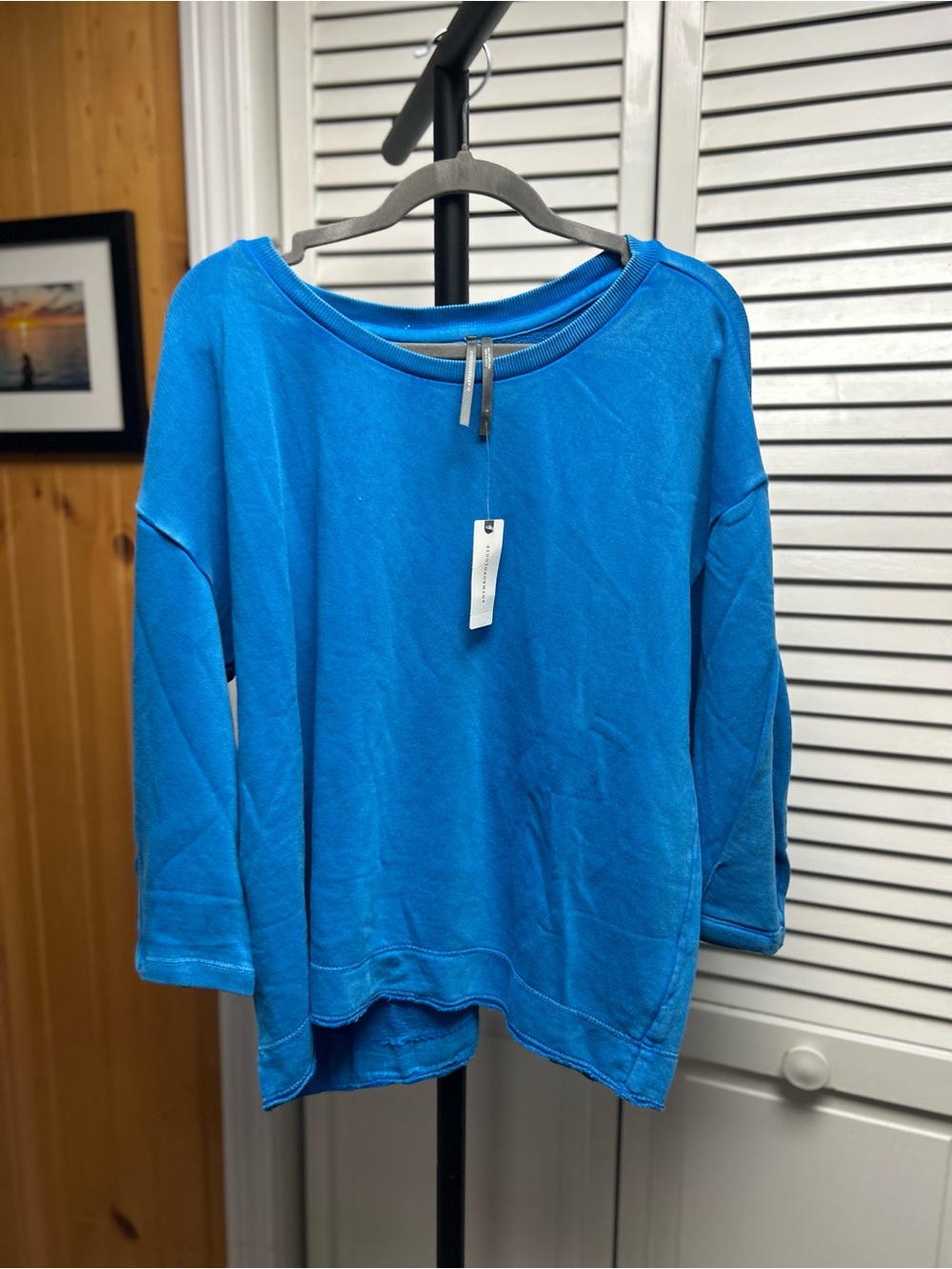 Anthropologie blue sweatshirt